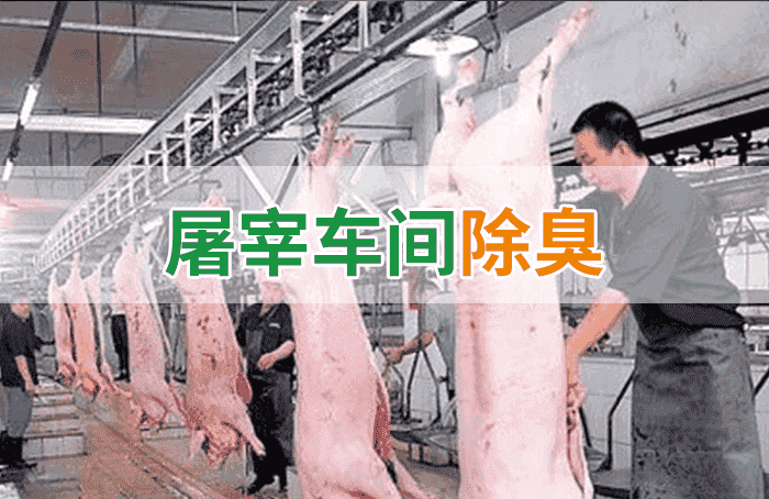 屠宰場臭氣影響周邊環(huán)境？解決辦法在這里-1