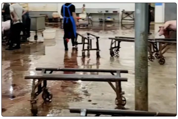 屠宰工廠惡臭影響周邊，使用除臭劑有什么注意要點？.jpg