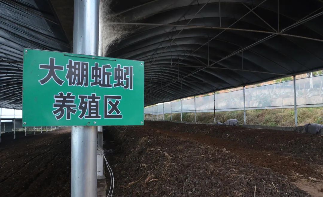 潔匠凈化·的凈工業(yè)除臭劑_的凈工業(yè)除臭劑高效治理蚯蚓養(yǎng)殖惡臭異味大、牛糞味濃