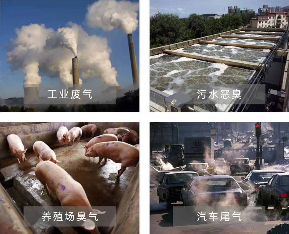 Dejing的凈工業(yè)除臭劑——解決臭味困擾的源頭！.jpg