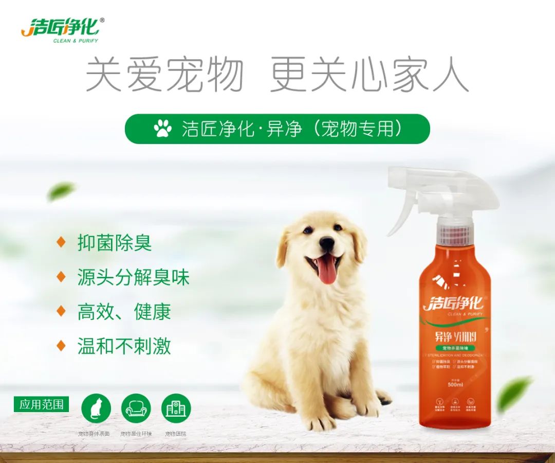 寵物氣味彌漫整個屋子，潔匠凈化教您如何除味